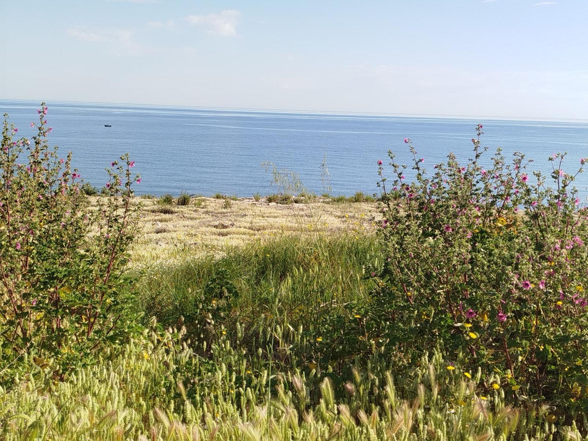 Casa Manaar Polignano a Mare Dış mekan fotoğraf